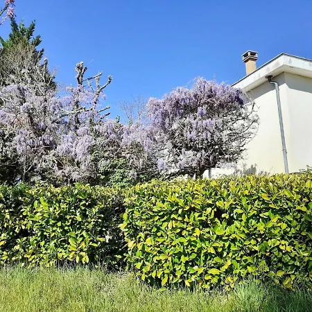 Hébergement de vacances Maison de 3 chambres avec jardin amenage et wifi a Rouffignac Saint Cernin de Reilhac