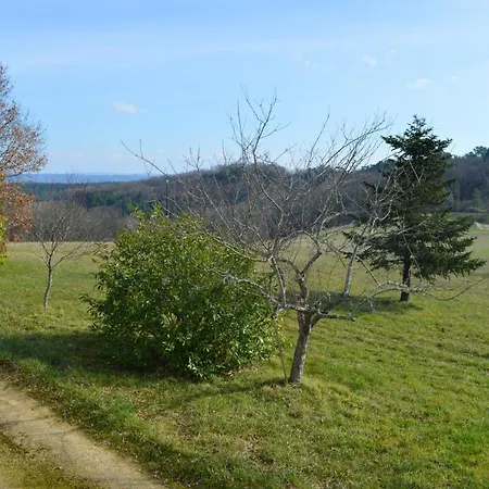 Hébergement de vacances Maison de 3 chambres avec jardin amenage et wifi a Rouffignac Saint Cernin de Reilhac Fleurac (Dordogne)